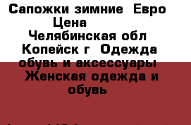 Сапожки зимние- Евро. › Цена ­ 2 800 - Челябинская обл., Копейск г. Одежда, обувь и аксессуары » Женская одежда и обувь   